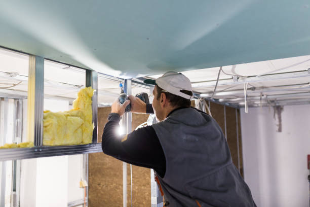 Best Cellulose Insulation  in Golden, CO