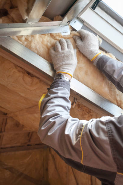 Best Fiberglass Insulation  in Golden, CO