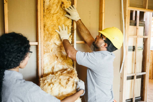 Best Insulation for New Construction  in Golden, CO